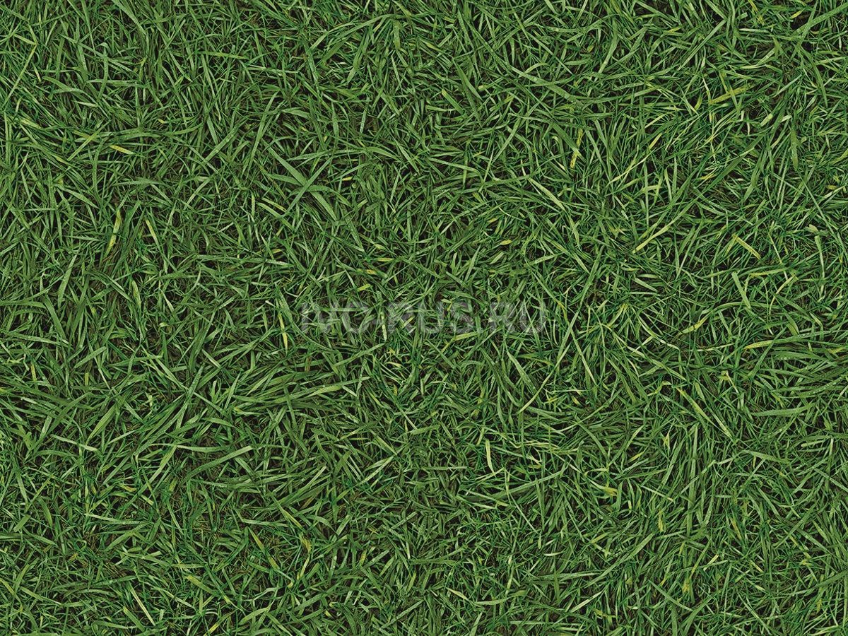Линолеум IVC Semi Contrast Vision Grass T25