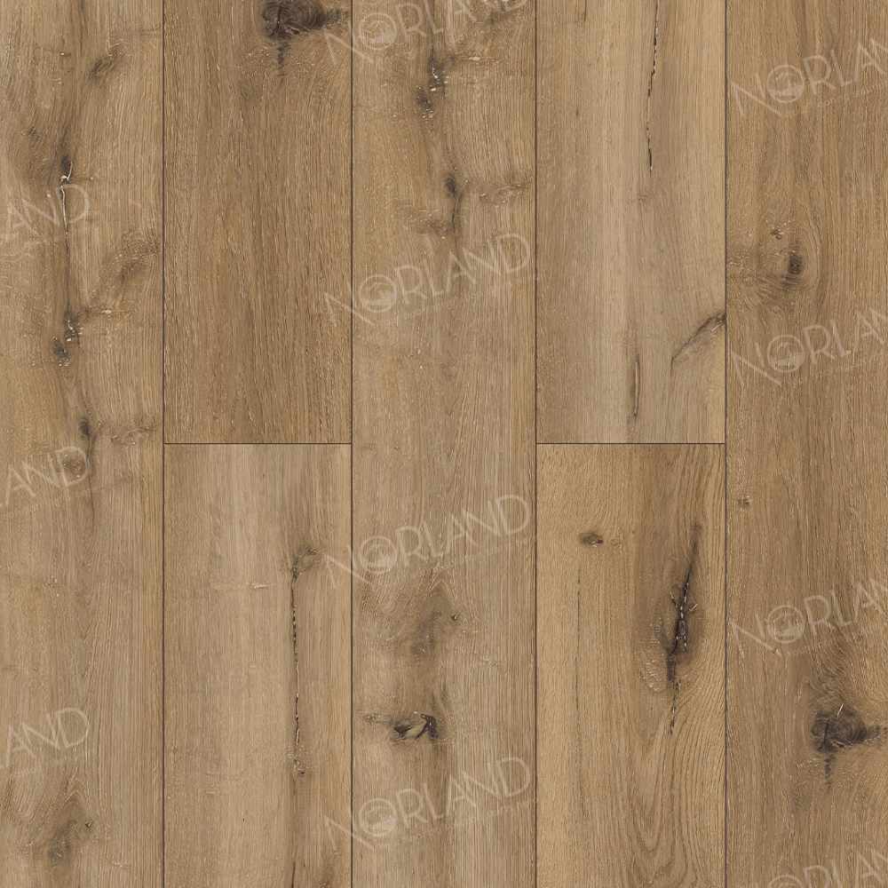 SPC ламинат Norland Северный уют (Lagom Parquet) Сокровище Takara