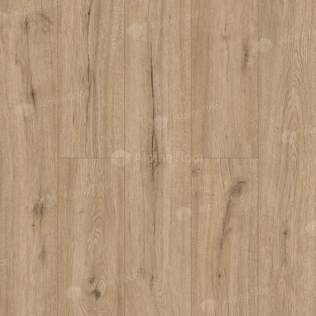 SPC ламинат Alpine Floor Solo Plus Ларгетто SPC ламинат Alpine Floor Solo Plus Ларгетто
