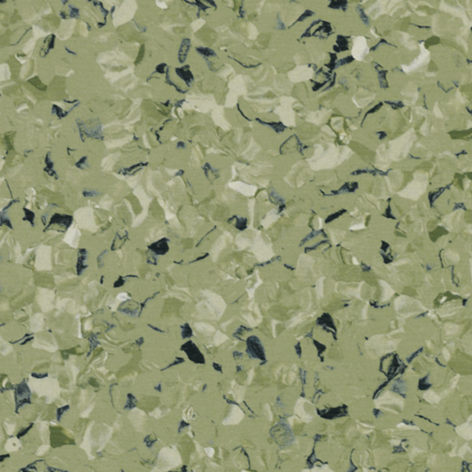 Линолеум Tarkett IQ Toro SC Green 0576