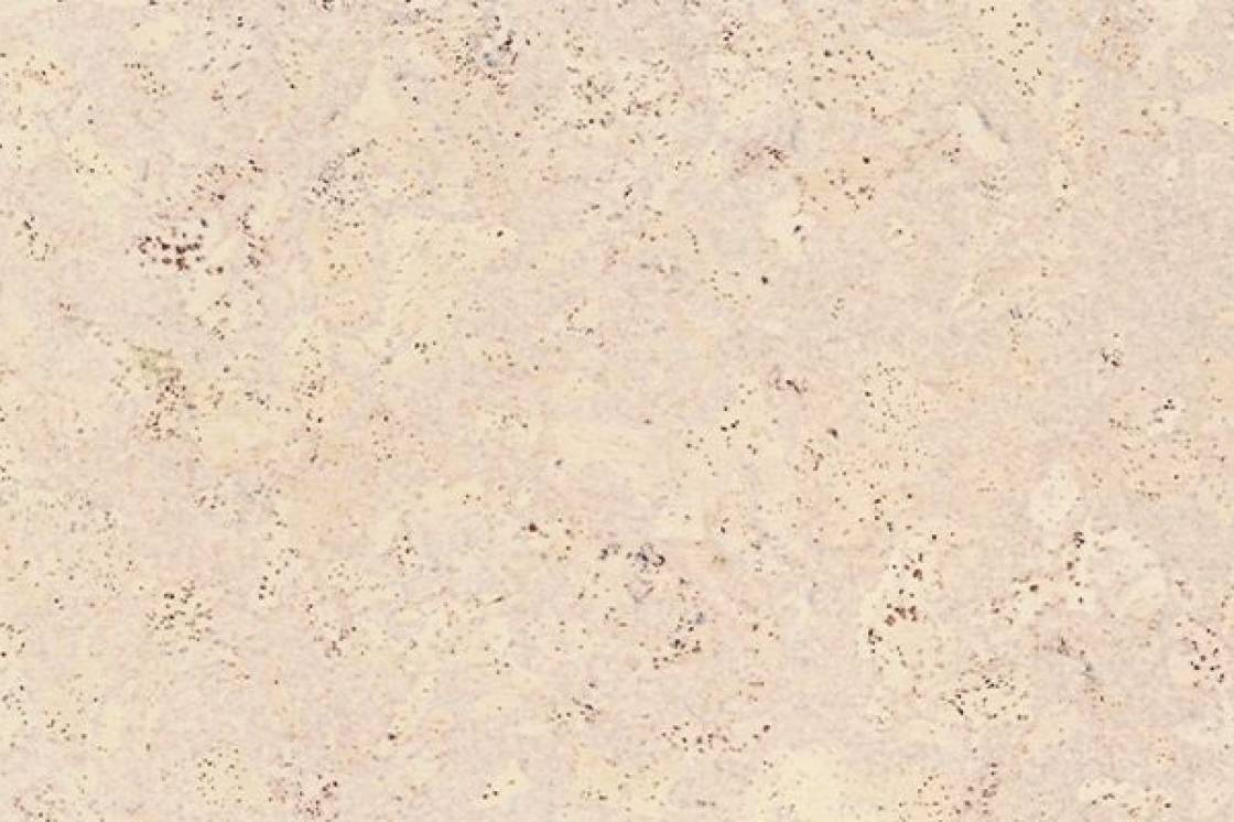 Пробковый пол CorkStyle Eco Cork Madeira White