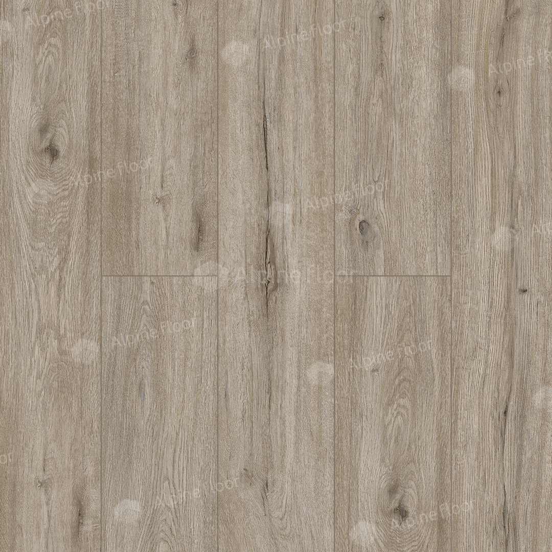 SPC ламинат Alpine Floor Solo Plus Прэсто SPC ламинат Alpine Floor Solo Plus Прэсто