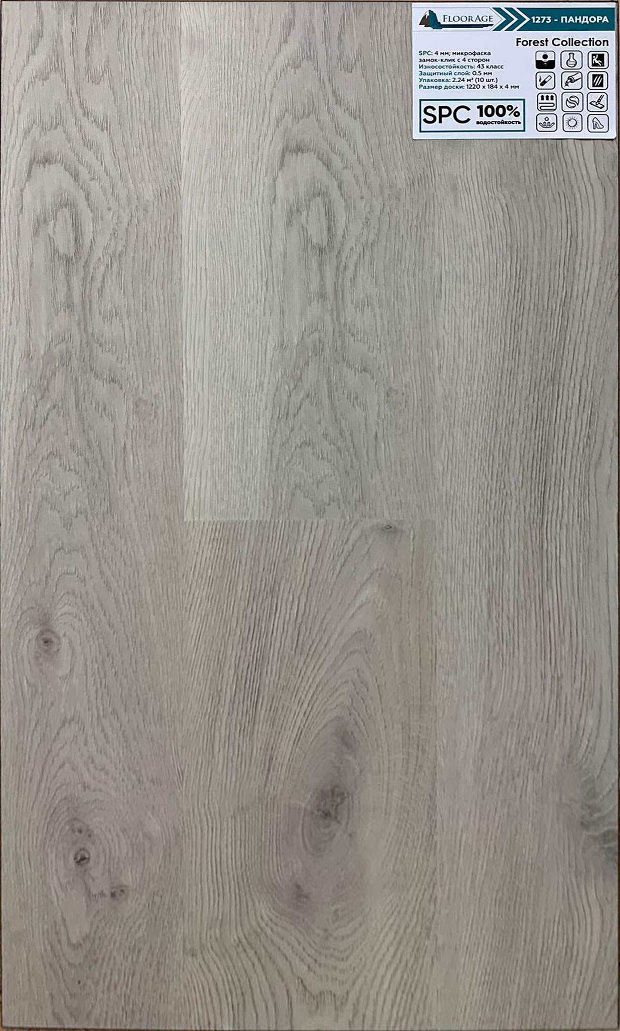 SPC ламинат Floorage Forest Пандора