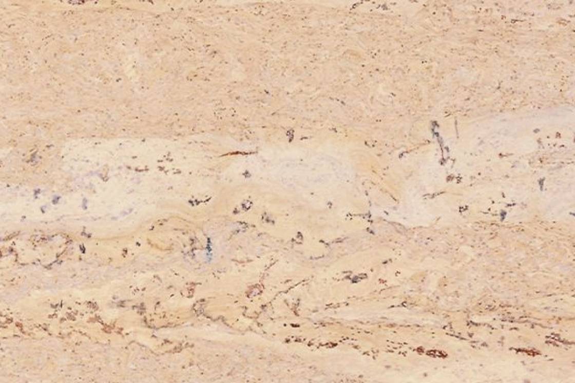 Пробковый пол CorkStyle Natural Cork Comprido Creme