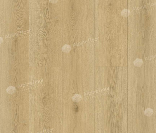 SPC ламинат Alpine Floor Матовое затмение (Eclipse Super Matt) Твист