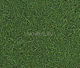 Линолеум IVC Semi Contrast Vision Grass T25