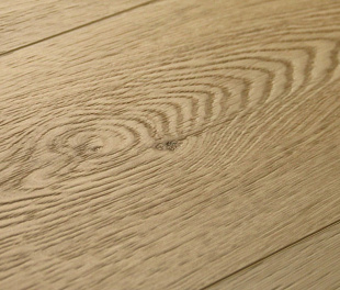 SPC ламинат Damy Floor Family Дуб Латте