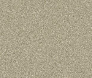 Линолеум Tarkett Space F Tetto 2
