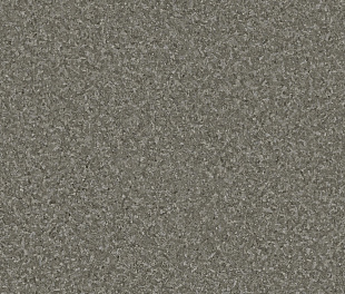 Линолеум Tarkett Space F Tetto 1